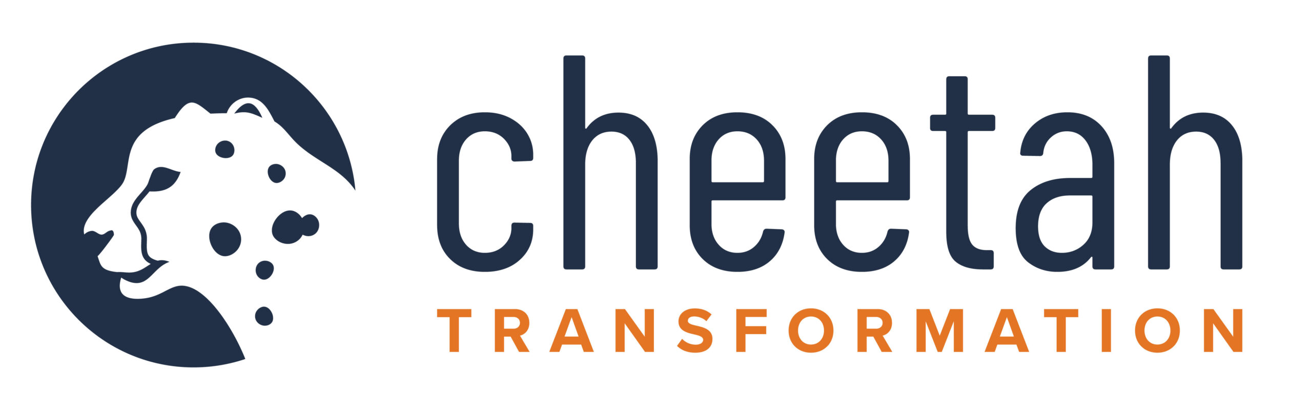 Cheetah Transformation - Exhibitor SFIE