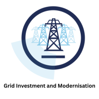 Grid investment and modernisation